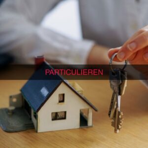 Schoorsteen Verwijderen